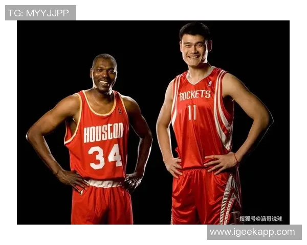 模仿姚明海报的创意设计与文化传承探讨