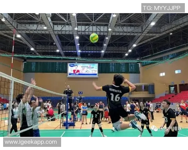 武汉排球队的阵地战分析与战术探讨助力排球热点发展 武汉排球队的阵地战分析与战术探讨助力排球热点发展