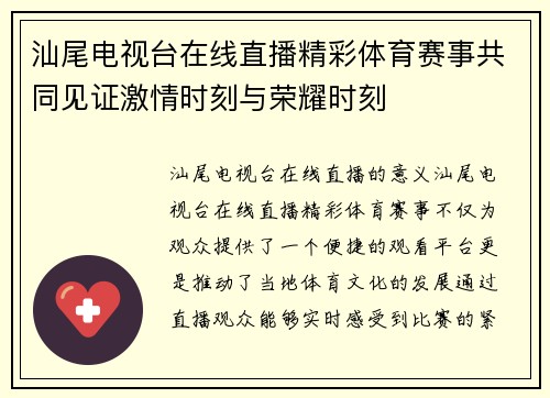 汕尾电视台在线直播精彩体育赛事共同见证激情时刻与荣耀时刻
